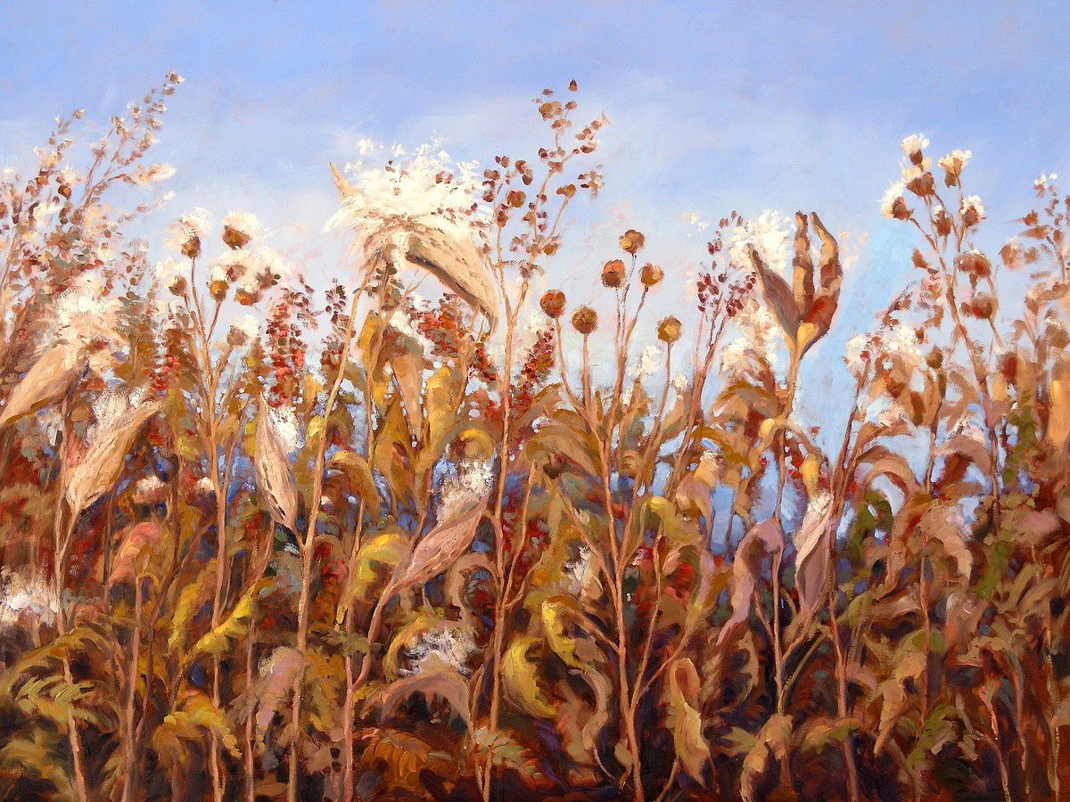 'Ditchweed' by Gregory Wilhelmi